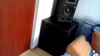 Boxe Alien 10 inchSubwoofer Cerwin Vega CVP 118 [upl. by Lativa]