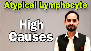 Atypical Lymphocytes  What is Atypical Lymphocyte  High Atypical Lymphocytes Causes [upl. by Ammadis]