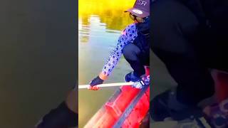 pescaderia shortvideos fishing buenapesca asombroso fish viralvideos pescadeportiva [upl. by Llehsem]