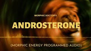 Androsterone pheromone boost morphic energy programmed [upl. by Ardnued]