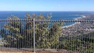 Redbellied Black Snake  near Wollongong 1080p HD [upl. by Archer512]