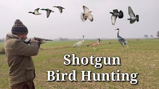 Best Shotgun Hunting in Pakistan  Dove Hunting opening day hunting dovehunting birdhunting [upl. by Atrahc]