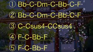 BeginShimanchu Nu takara  Romaji Lyric amp Chord [upl. by Telocin435]