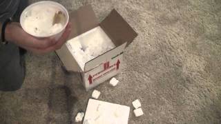 Leucistic Albino Lubino Red Eared Slider Unboxing [upl. by Daza435]