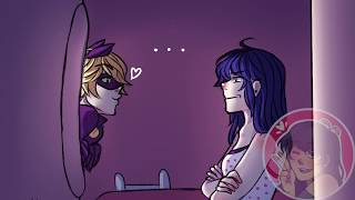 quotDelicatequot Pt 2  Miraculous Ladybug COMIC DUB [upl. by Auqenahs]