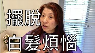 （74）染髮海娜藍靛食品級染髮劑（升級版）詳細介紹染髮步驟Organic hair dye字幕cc [upl. by Vipul157]