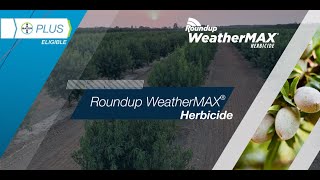 Roundup WeatherMAX® Herbicide [upl. by Gauthier]