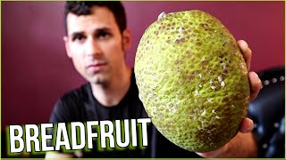 BREADFRUIT THE RIGHT WAY  5 Ways to Cook This Fascinating Fruit  Weird Fruit Explorer [upl. by Urian234]