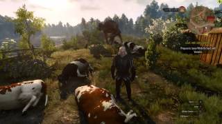 CHORT  What happens when you kill cows in The Witcher 3 [upl. by Arch]