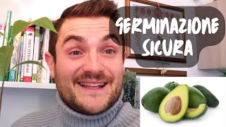 COME PIANTARE IL SEME DI AVOCADO  METODO INFALLIBILE [upl. by Annovoj]