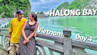 Day 4 1st from India amp Awesome Caves in halong bay  halong bay vlog  halong bay 4k hacker vlog [upl. by Ykcir46]