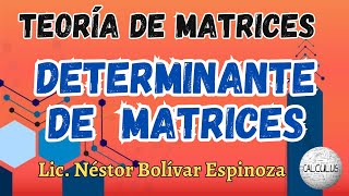 DETERMINANTE DE UNA MATRIZ [upl. by Ahsyas]