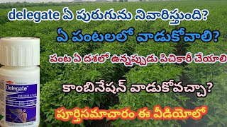 delegate uses in telugu  spinetoram 117 sc  delegate insecticide full information  Delegate use [upl. by Signe]