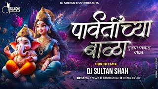 Parvatichya Bala Ganpati Song DJ Remix  Ganpati Maza Nachat Aala DJ  DJ Sultan Shah [upl. by Badger851]