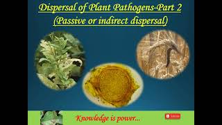 Dispersal of Plant Pathogens Part 2 [upl. by Eirrod]