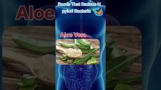 Top Foods to Fight H Pylori Naturally  Boost Gut Health [upl. by Billy646]