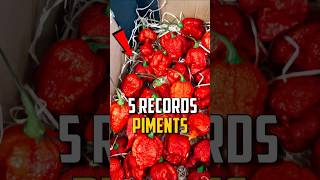 5 RECORDS DU MONDE AVEC DES PIMENTS 🌶️ [upl. by Heller]