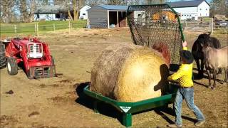 HayTrap Hay Feeder [upl. by Yelrahs]