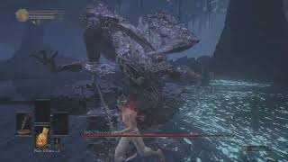 Ds3 Midir Sl1no hitfist only [upl. by Yesnikcm744]