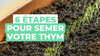 Les étapes dun SEMIS de THYM Tutoriel de jardinage [upl. by Euridice]