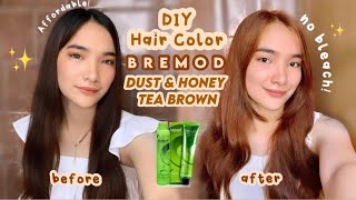 DIY HAIR COLOR USING BREMOD DUST amp HONEY TEA BROWN No Bleach 🤎✨  Denays Ann [upl. by Radmilla449]