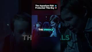 The Aquarium Fish 🐟 Protected This Boy 🛡️ shortsrecap clipshorts [upl. by Vinny133]