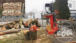 Holzspalten  Brennholz Erzeugung  Sägen und Spalten  Motorsäge  Firewood splitting  Forst [upl. by Lyram]