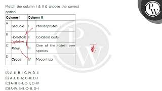 Match the column I amp II amp choose the correct option\n\n\n\n\nColumn I\n\n\nColumn II\n\n\ [upl. by Adolph]