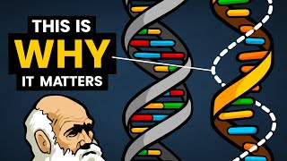 DNA vs RNA  Differences in Form and Function  Stated Clearly [upl. by Inaluahek]