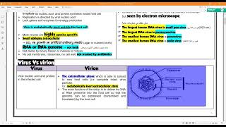 Basic Virology شرح جزء الفيروسات كله بطريقة مختصره و بسيطة [upl. by Agrippina]