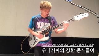 ALLEVA COPPOLO LG5 PASSIVE SLAP SOUND amp유다지파의 강한용사들이 [upl. by Elocim119]