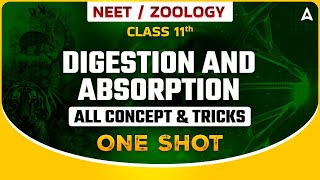 DIGESTION AND ABSORPTION IN ONE SHOT  ALL CONCEPT amp TRICKS  PARIVARTAN SERIES FOR NEET SANKALP [upl. by Linda]