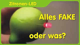 Ist eine ZitronenEinzelzelle für eine LED geeignet  Reaktion auf Fakevideo [upl. by Aita]