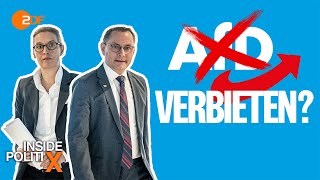 Was ein AfDVerbotsverfahren bringen würde  Inside PolitiX [upl. by Behnken831]