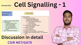 Cell Signalling  Cell Signalling CSIR NET  Cell signalling Pathway  Types of Cell signalling [upl. by Ylrebma]