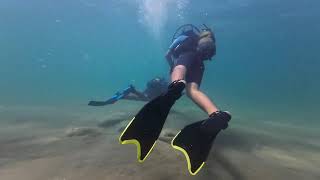 Gökçeada Dalış scubadiving [upl. by Marc]