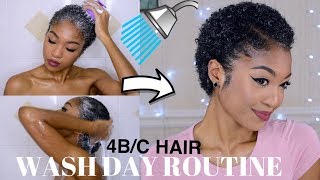 WASH DAY ROUTINE for DRY 4BC NATURAL HAIR  FROM START TO FINISH  DisisReyRey [upl. by Yerfoeg]