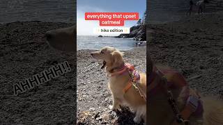 Hike Stillwater Cove in Jenner California dogadventure​⁠ hike sonomacountyregionalparks [upl. by Notnil]