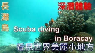 長灘島 深潛體驗 scuba diving in Boracay 2019Gopro6 4K [upl. by Tallbott]