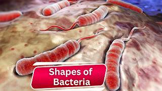 Discover Bacteria Shapes Unseen World Revealed Must Watch [upl. by Sivehc]