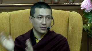 HH the 17th Karmapa Teaching on Compassion [upl. by Heger788]