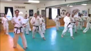 Budokan Karate Brantford [upl. by Glimp]