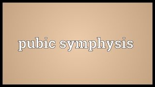 Pubic symphysis Meaning [upl. by Yssak]