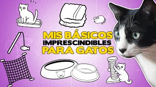 Los BÁSICOS IMPRESCINDIBLES para GATOS 😸  Todo lo que necesita tu gato en casa [upl. by Macur773]