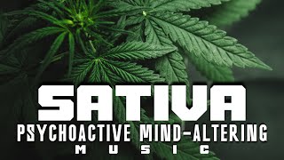 Sativa Psychoactive MindAltering Music Background [upl. by Jeavons]