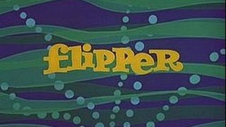 Flipper Intro [upl. by Karalynn]