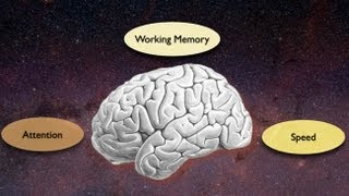 Exploring the Crossroads of Attention and Memory in the Aging Brain Views from the Inside [upl. by Yreffeg]