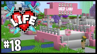 NEW RECRUITS amp THEMEPARKS  Minecraft X Life SMP  18 [upl. by Smoot246]