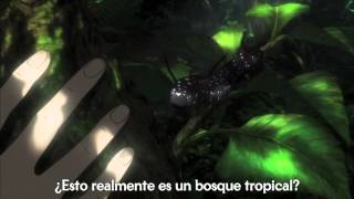 BTOOOM Cap 1 sub español Completo [upl. by Banky]