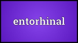 Entorhinal Meaning [upl. by Mano]